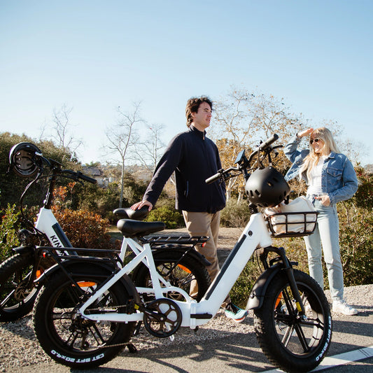 Folding Electric Bike Literider