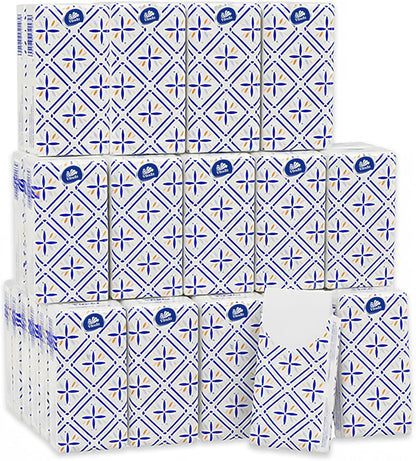 3-Ply Ultra Care Pocket Tissues, Travel Size (30 Packs of 10 Tissues)