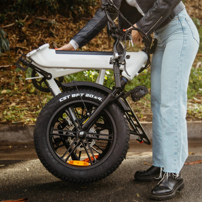 Folding Electric Bike Literider