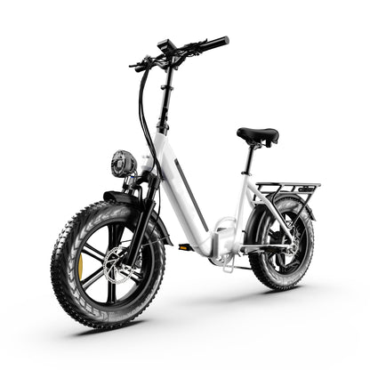 Folding Electric Bike Literider